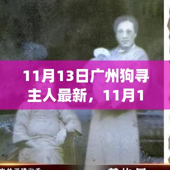 廣州狗狗尋找主人最新進展，溫暖重逢與尋寵路上的希望（11月13日更新）