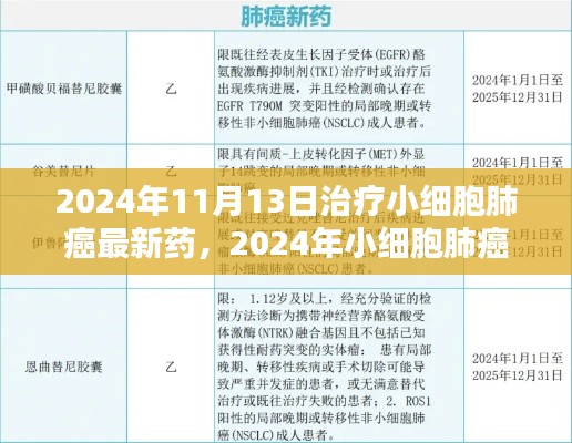 2024年小細(xì)胞肺癌治療新藥全面解析與用戶體驗(yàn)，最新藥物評(píng)測(cè)及療效展望