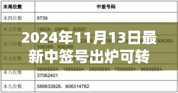 揭秘，2024年最新可轉(zhuǎn)債中簽號(hào)出爐背后的影響與時(shí)代地位分析