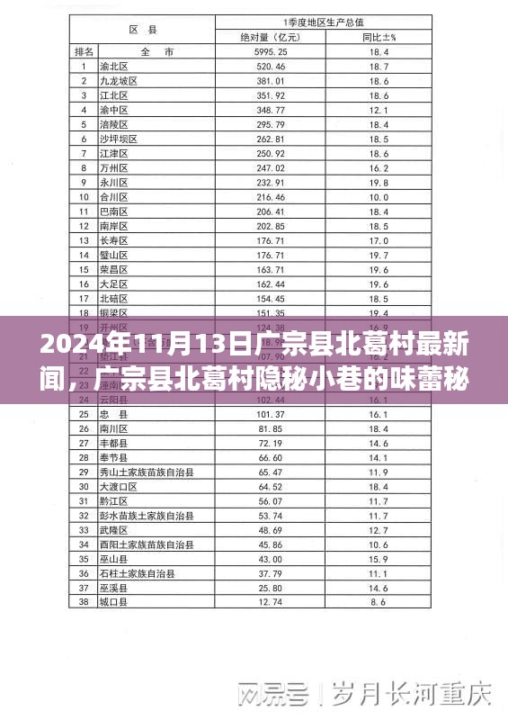 廣宗縣北葛村隱秘小巷的美食秘境，最新探秘之旅（2024年11月13日）