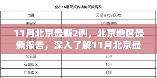 北京地區(qū)最新報(bào)告，深入了解11月新增兩例的產(chǎn)品特性與體驗(yàn)