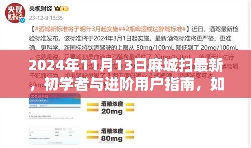 麻城掃最新技能指南，初學(xué)者與進(jìn)階用戶如何掌握