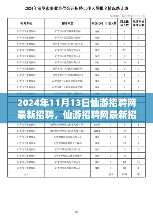 2024年11月13日仙游招聘網(wǎng)最新動態(tài)，聚焦人才市場熱點