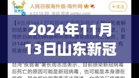 山東新冠疫情最新報告，多維視角下的深度分析（2024年11月13日）