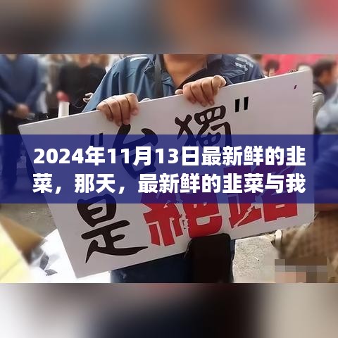 新鮮韭菜與溫馨故事，2024年11月13日的邂逅