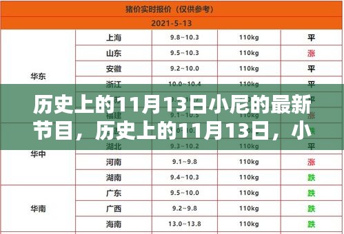 小尼最新節(jié)目深度解析，歷史上的十一月十三日