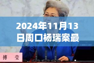 楊瑞案背后的故事，變化的力量與自信的重生最新進(jìn)展，周口楊瑞案深度剖析（2024年11月13日）