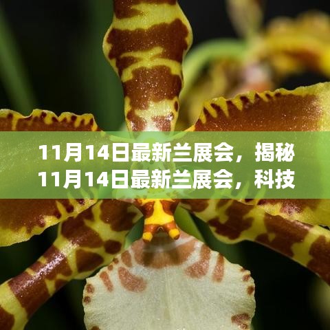 揭秘最新蘭展會，科技革新引領(lǐng)未來生活風(fēng)采展盛大開幕