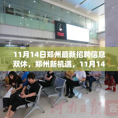 鄭州最新招聘信息揭秘，學(xué)習(xí)與成長(zhǎng)之旅，雙休路上的自信與成就感