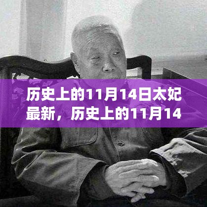 歷史上的11月14日太妃傳奇，最新解讀與影響全解析