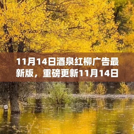 11月14日酒泉紅柳廣告最新版，重磅更新，精彩紛呈