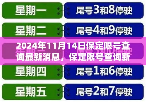 保定限號查詢新紀元，科技引領綠色出行，APP升級助力綠色出行