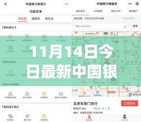 揭秘，中國銀行最新外匯牌價動態(tài)及影響力解析（11月14日更新）