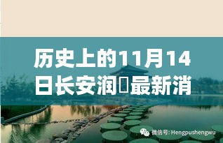 長安潤璟秘境探索，歷史與美食的碰撞時刻，最新消息揭秘秘密小店