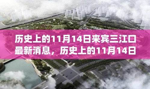 歷史上的11月14日，來賓三江口最新發(fā)展動態(tài)揭秘