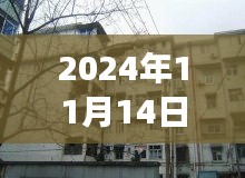 洛寧二手房最新信息探索，巷弄之韻與隱藏的小巷故事（最新信息門戶）