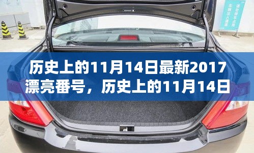 歷史上的11月14日最新2017漂亮番號，歷史上的11月14日，探尋那些閃耀的瞬間與美好記憶??