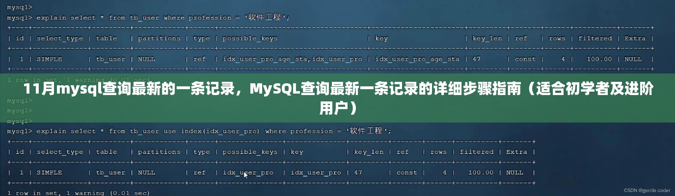 MySQL查詢最新記錄步驟詳解，從初學(xué)者到進(jìn)階用戶的指南