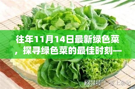 探尋綠色菜的最佳時刻，以往年11月14日為例的蔬菜盛宴