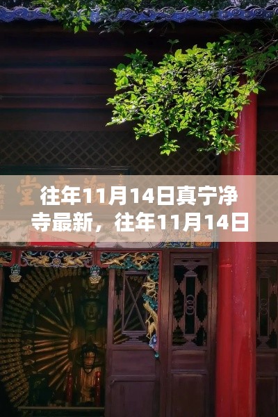 往年11月14日真寧凈寺探訪攻略，領(lǐng)略古寺魅力，最新指南全解析