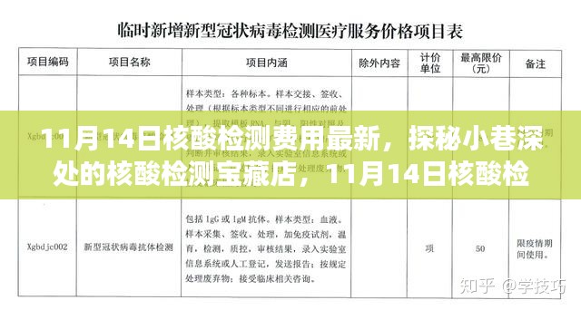 探秘核酸檢測寶藏店，揭秘最新核酸檢測費(fèi)用新鮮事（11月14日更新）