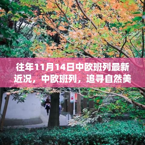 中歐班列秋日序曲，追尋自然美景與內(nèi)心寧?kù)o之旅的最新近況