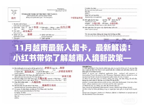 小紅書解讀，最新越南入境卡詳解及新政策解析