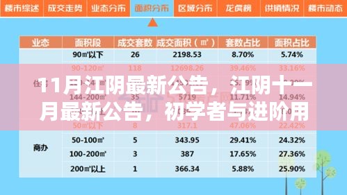 江陰十一月最新公告發(fā)布，初學(xué)者與進(jìn)階用戶指南詳解