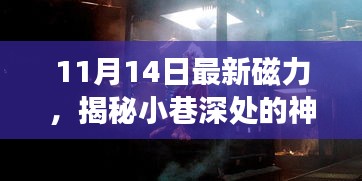 揭秘神秘寶藏，11月14日最新磁力小巷小店探秘之旅