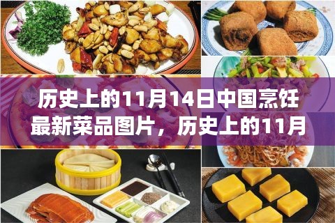 11月14日中國烹飪新菜品圖片展示，歷史菜品深度評測與介紹