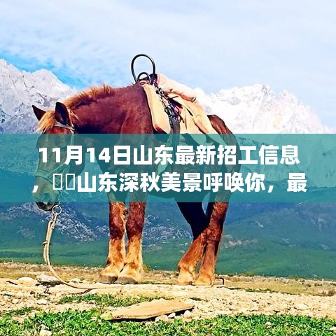 山東最新招工信息帶你領(lǐng)略深秋美景的心靈之旅啟程招募！