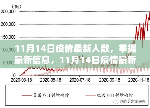 11月14日疫情最新人數(shù)查詢指南，掌握最新信息