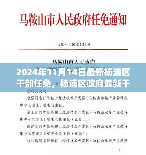 楊浦區(qū)政府最新干部任免動態(tài)，聚焦新任干部及未來展望（更新至2024年）