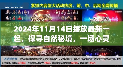 探尋自然秘境，心靈之旅啟程于2024年11月14日