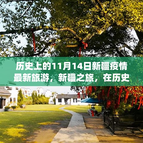 歷史的11月14日，新疆疫情最新旅游動(dòng)態(tài)與心靈之旅的寧靜與奇跡探尋