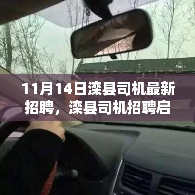 11月14日灤縣司機(jī)招聘啟事，最新職位空缺，開啟職業(yè)新征程