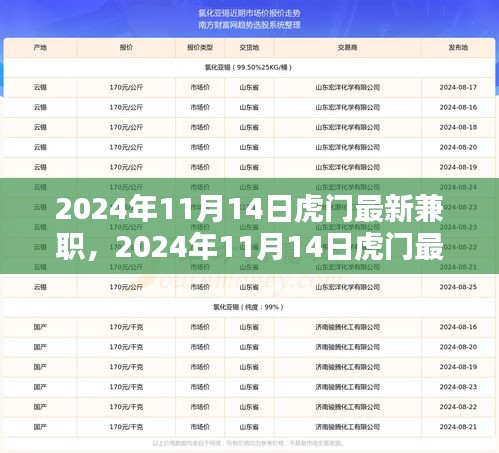 2024年11月14日虎門最新兼職，機(jī)遇與挑戰(zhàn)并存