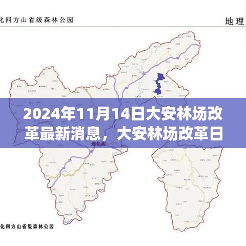 大安林場(chǎng)改革故事會(huì)，最新消息與溫馨改革之旅（2024年11月14日）