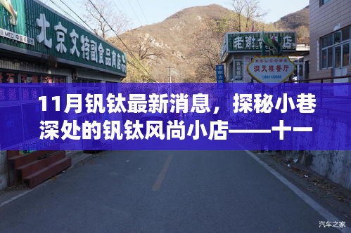 探秘小巷深處的釩鈦風尚小店，揭秘十一月最新動態(tài)