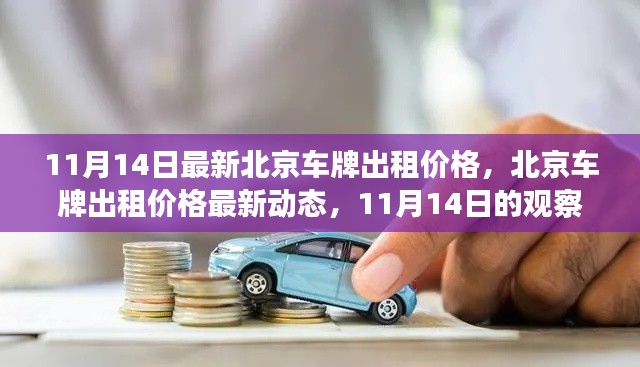 北京車(chē)牌出租價(jià)格最新動(dòng)態(tài)，11月14日的觀察與解讀