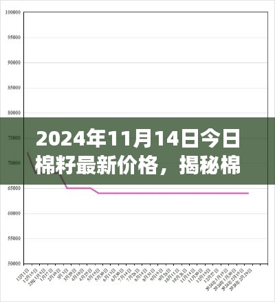 揭秘棉籽市場走勢，最新價(jià)格動(dòng)態(tài)分析與預(yù)測（2024年11月14日）