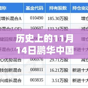 歷史上的11月14日鵬華中國50最新凈值深度解析及觀察報告