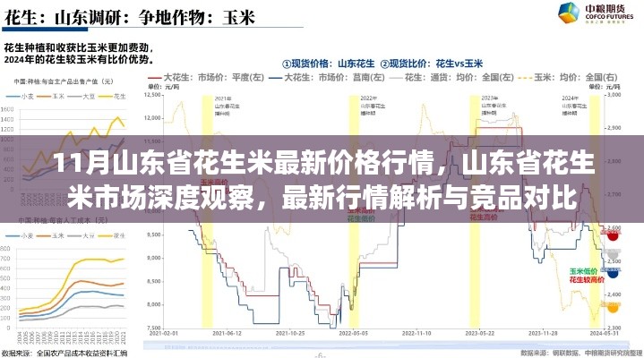 11月山東省花生米最新價(jià)格行情，山東省花生米市場(chǎng)深度觀察，最新行情解析與競(jìng)品對(duì)比