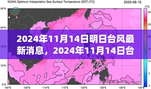 臺風(fēng)最新消息深度評測，特性、體驗、競品對比與用戶分析（2024年臺風(fēng)動態(tài)）