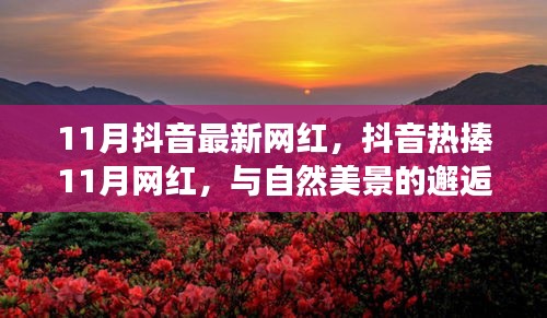 抖音熱捧的11月網(wǎng)紅，與自然美景的邂逅與內(nèi)心寧靜之旅