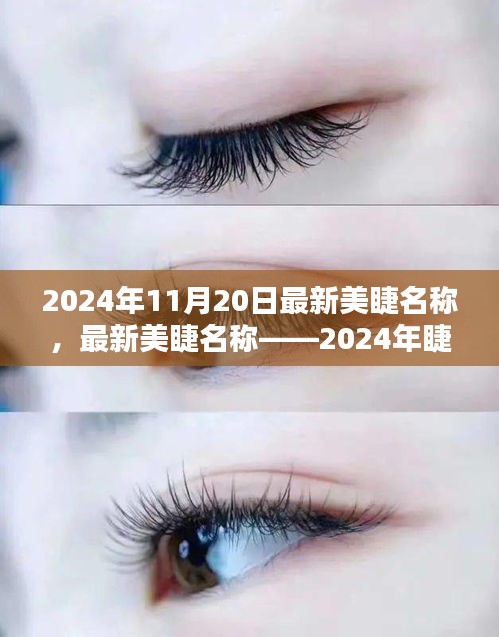 最新美睫名稱揭秘，2024年睫毛美學的革命性變革