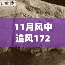 揭秘，風(fēng)中追風(fēng)最新裝備的時(shí)代地位與影響，逐風(fēng)而行，價(jià)值高達(dá)172萬(wàn)裝備重磅登場(chǎng)！