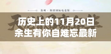 歷史上的11月20日，余生有你，自難忘——最新深度解析回顧與感悟