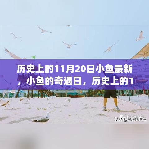 歷史上的11月20日，小魚奇遇日的溫馨小事回顧