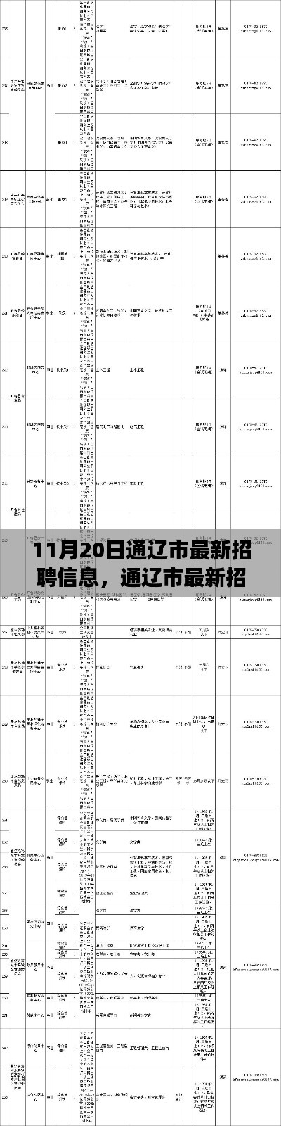 通遼市最新招聘信息概覽，職場人的福音（11月20日更新）